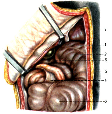 255.       . 1 - , 2 -     ; 3 -  ; 4 -   ; 5 -  ; 6 -  ; 7 -   
