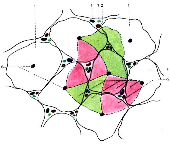 268.      . 1 -    ; 2 -  ; 3 -   ; 4 - ; 5 - ; 6 -   