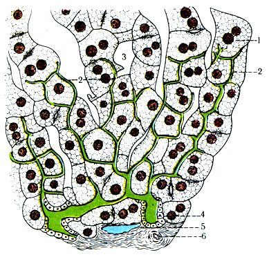 269.    . 1 -  ; 2 -  ; 3 - ; 4 -   ; 5 -  ; 6 -  