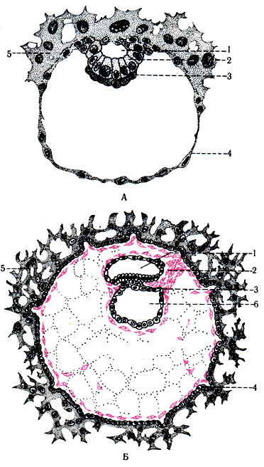 281.    8-   ,         ( Charting-Rokk). : 1 -  ; 2 -  ; 3 -  ; 4 - ; 5 - ;  -   14-   ( Peters): 6 -   