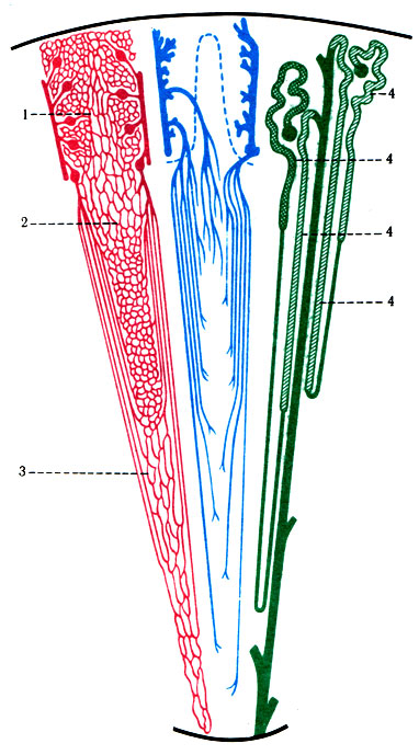 319.        . 1 -   ; 2 -    ; 3 -    ; 4 - 