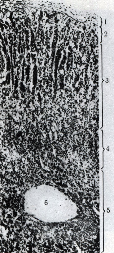 356.   . 1 - ; 2 -  ; 3 -    ; 4 -    ; 5 -  ; 6 -  