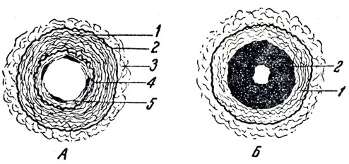 . 17.   ().  -  : 1 -   ; 2 -   ; 3 -   ; 4 -   ; 5 -   ();  -  : 1 -  ; 2 -              
