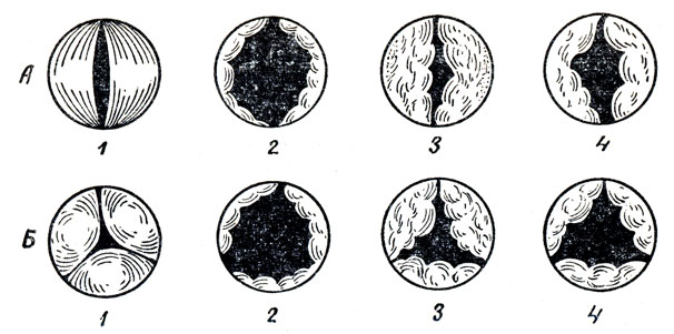 . 35.          ().  -  () ;  -   . 1 -   ; 2 -     ; 3 -      ; 4 -     