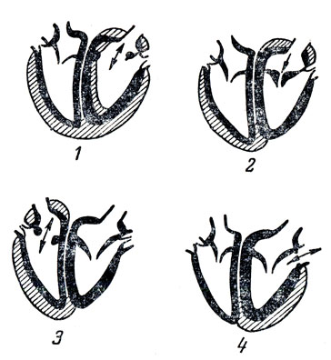 . 36.       . 1 -   ; 2 -    ; 3 -   ; 4 -   .   -  .       