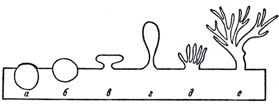 . 59.   . ,  - ;  -  ();  - ;  - ,  ( );  -  (  )