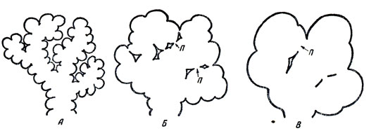 . 79.    ().  -      ;  -      ();  -     ,    