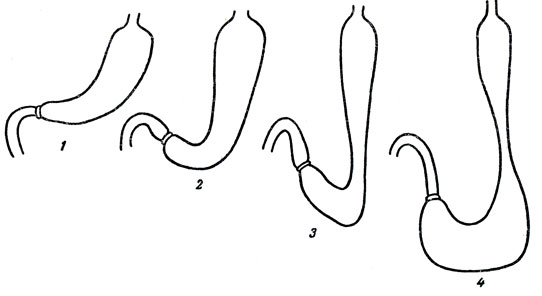 . 86.          . 1 - ; 2 - ; 3 - ; 4 - 