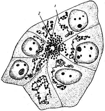 . 6.     (1) (   ).     (2)
