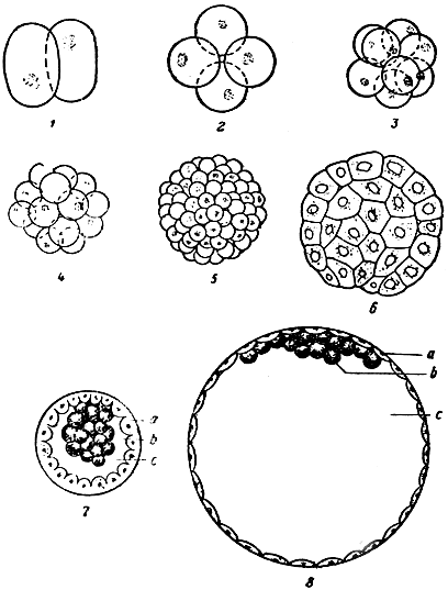 . 14.    (). 1-4 -  ( ); 5 -  ; 6 -   ; 7 -        ; 8 -   ;  - ; b -  ;  -    ( )