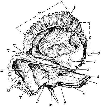 . 55.  .  . 1 -  ; 2 -  ; 3 -  ; 4 -  ; 5 -  ; 6 -  ; 7 -   ; 8 -   ; 9 -    ; 10 -  ; 11 -  ; 12 -    ; 13 -  ; 14 -  ; 15 -  ; 16 -   ; 17 -  
