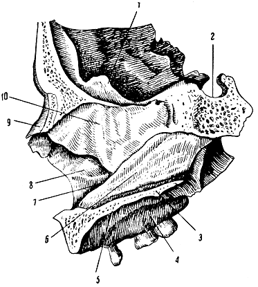 . 59.      . 1 -    ; 2 -  ; 3 -    ; 4 -    ; 5 -    ; 6 - ; 7 -   , 8 -   ; 9 -  ; 10 -    