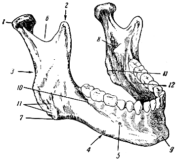. 62.  . 1 -  ; 2 -  ; 3 -   ; 4 -   ; 5 -  ; 6 - ; 7 -   ; 8 -   ; 9 -  ; 10 -  ; 11 -    ; 12 - - 