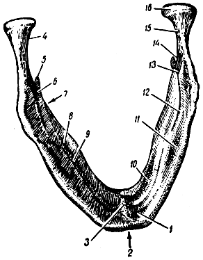 . 62.     . 1 -  ; 2 -   ; 3 -  ; 4 -  ; 5 -  ; 6 -   ; 7 -   ; 8 - - ; 9 - - ; 10 -  ; 11 -  ; 12 - - ; 13 -  ; 14 -   ; 15 -   ; 16 -   