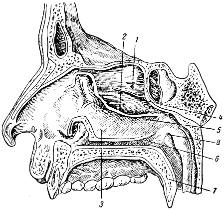 . 67.   (   ,  ),    . 1 -   ; 2 -   ; 3 -   ; 4 -   ; 5 -   ; 6 -   ; 7 -  ; 8 -    