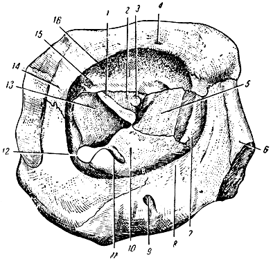 . 68. . 1 -  ; 2 -    ; 3 -  ; 4 -  ; 5 -    ; 6 -  ; 7 -    ; 8 -    ; 9 -  ; 10 -    ; 11 -  ; 12 -  ; 13 -      ; 14 -    ; 15 -  ; 16 -    