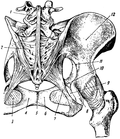. 85.   . 1 - IV  ; 2 - ; 3 -  ; 4  6 -     ; 5 -    (); 7 - - ; 8 -  ; 9 -    ( -  - ); 10 - - ; 11 -   ; 12 -  