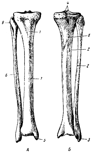 . 91.   .  -    - . 1 -   ; 2 -   ; 3 -  ; 4 -  ; 5 -  ; 6 -  ; 7 -   ; 8 -  ; 9 -   