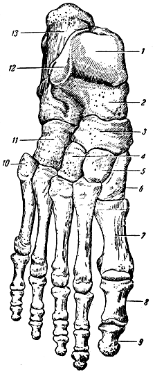 . 92.   . 1 -  () (); 2 -   ; 3 -  ; 4 - III  ; 5 - II  ; 6 - I  : 7 - I  ; 8 -  ; 9 -  ; 10 -  V  ; 11 -  ; 12 -    ; 13 -  