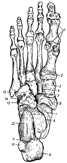 . 92.    (  ). 1 -  ; 2 -  I  ; 3 - I  ; 4 - II  ; 5 - III  ; 6 -  ; 7 -  : 8 -   ; 9 -  ; 10 -    ; 11 -    ; 12 -  ; 13 -  ; 14 -    ; 15 -  V  
