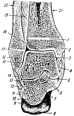 . 98.     . 1 -   (     ); 2 -  ; 3 -  ; 4 -    ; 5  7 - - ; 6 - -  ; 8 -  ; 9 -   ; 10 -  ; 11 -    ; 12 -    ; 13 -  ; 14 - - ; 15  18 -  ; 16 -  ; 17 -   (     ); 19 -  ; 20 -   ; 21 -   
