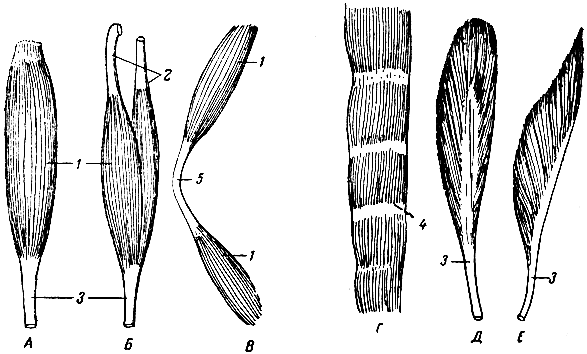 . 102.  .  -  ;  -  ;  -  ;  -    ;  -  ;  -  . 1 -  ; 2-3 -  ; 4 -  ; 5 -  