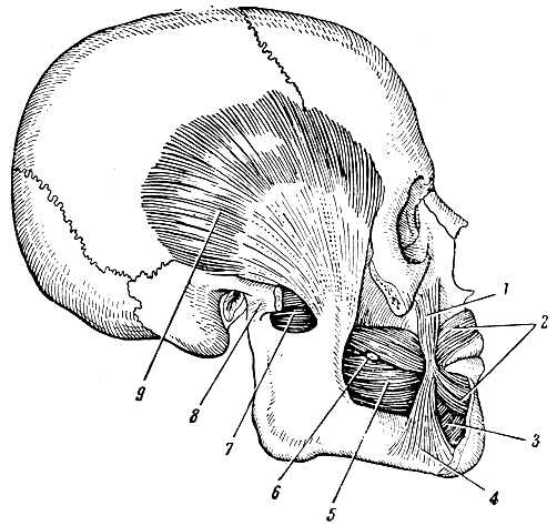 . 121.    . 1 -  ; 2 -   ; 3 -    ; 4 -  ; 5 -  ; 6 -   ,   ; 7 -   ; 8 -   ; 9 -  