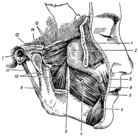 . 124.  . 1 -   (); 2 -   ; 3 -  ; 4 -  ; 5 -  ; 6 -  ; 7 -   ; 8 -        ; 9 -       ; 10 -   ; 11 -  ; 12 -   ; 13 -  ; 14 -     (); 15 -   