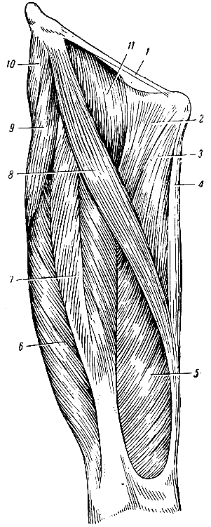 . 143.   . 1 -  ; 2 -  ; 3 -   ; 4 -  ; 5 -    (    ); 6 -    (    ); 7 -   ; 8 -  ; 9 -   ; 10 -   ; 11 - - 