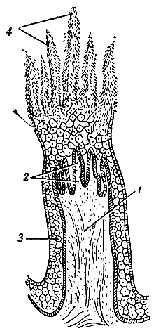 . 159.     ( ). 1 -       (2); 3 - ,  ; 4 -     