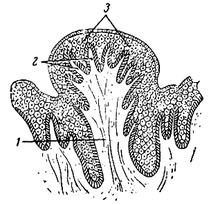 . 160.     ( ). 1 -       (2); 3 - ,  