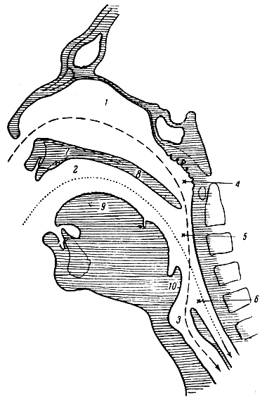 . 162.     . 1 -  ; 2 -  ; 3 -  ; 4 - ; 5 - ; 6 -   ; 7 -  ; 8 -  ; 9 - ; 10 - 