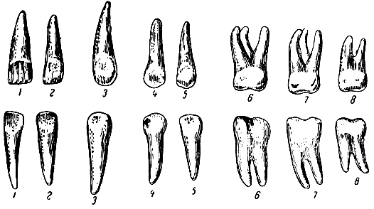 . 168.       . 1 -  ; 2 -  ; 3 - ; 4 - I  ; 5 - II  ; 6 - I  ; 7 - II  ; 8 - III  