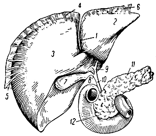 . 178. ,     . 1 -   ; 2 -   ; 3 -    (     ); 4, 5, 6 -   ; 7 -  ; 8 -   ; 9 -  ; 10 -   ; 11 -   ; 12 -   