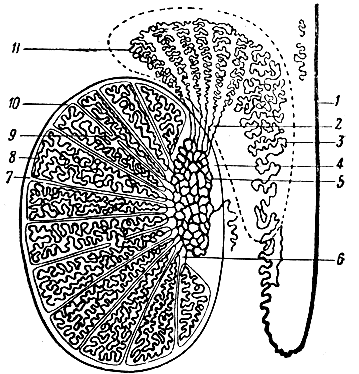 . 212.   . 1 -  ; 2 -  ; 3 -  ; 4 -  ; 5 -  ; 6 -  ; 7 -  ; 8 -  ; 9 -  ; 10 -  ; 11 -  