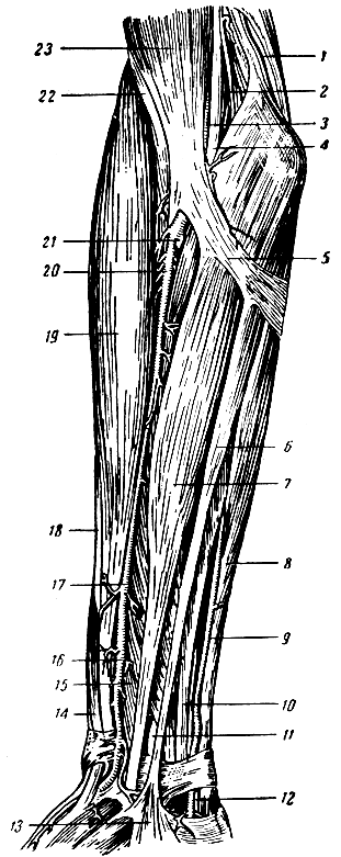 . 240.   :  . 1 -  ; 2 -  ; 3 -  ; 4 -  ; 5 -     ; 6 -   ; 7 -   ; 8 -   ; 9 -  ; 10 -   ; 11 -  ; 12 -  ; 13 -  ; 14 -     ; 15 -    ; 16 - 17 -  ; 18 -     ; 19 - - ; 20 -  ; 21 -  ; 22 -  ; 23 -   