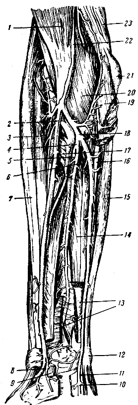 . 241.   :  ,  . 1 -    (      ); 2  8 -  ; 3 -    ; 4 -   ; 5 -   ; 6 -   ; 7 - - ; 9 -    ; 10 -  ; 11 -  ; 12 -  ; 13 -   (  ); 14 -   ; 15 -   ; 16 -  ; 17 - ; 18 -  ; 19 -   ; 20 -  ; 21 -   ; 22 -  ; 23 -  
