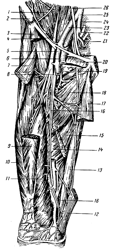 . 252.      . 1 -    ; 2 -     ;. 3  12 -    ; 4 -  ; 5 -   (   ); 6 -  ; 7  9 -     ; 8 -   ; 10  11 -       ; 13 -  ; 14 -   ; 15 -   ; 16 -   ; 17 -    ; 18 -   ; 19 -  ; 20 -   ; 21-22 -     ; 23 -   ; 24 -  ; 25 -   ; 26 - 