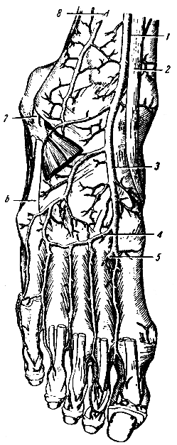 . 254.   . 1 -   ; 2 -    ; 3 -   ; 4 -   (  ); 5 -     ; 6 -    ; 7 -    ; 8 -   