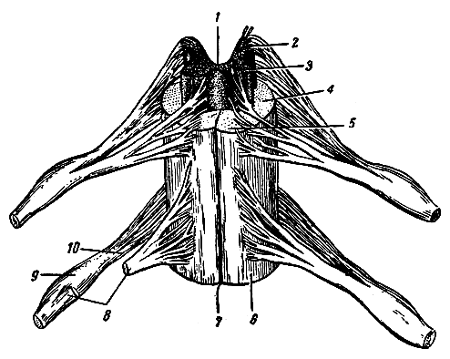 . 271.        (, ). 1 -   ; 2 -  ; 3 -  ; 4 -  ; 5 -  ; 6 -   ; 7 -   ; 8 -   ( ); 9 -  ; 10 -  