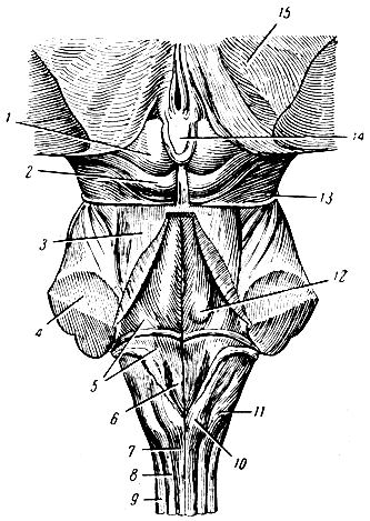 . 275.      . 1 -   ; 2 -   ; 3 -    ; 4 -    ; 5 -   (    ); 6 -    (    ); 7 -  ; 8 -  ; 9 -     ( ); 10 -   ; 11 -   ; 12 -  ; 13 -  ; 14 -  ; 15 -  