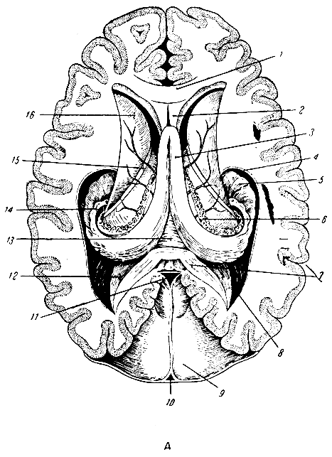 . 282.        (  ). 1 -  ; 2 -  ; 3 -  ; 4 -  ; 5 -  ; 6 -  ; 7 -  ; 8 -  ; 9 -  ; 10 -   ; 11 -  ; 12 -  ; 13 -   ; 14 -   ; 15 -   ; 16 -   