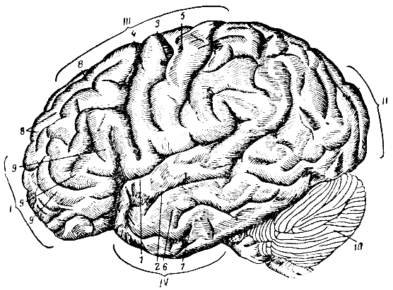 . 284.         . I -  ; II - ; III - ; IV - ; 1 -  ; 2 -   ; 3 -  ; 4 -   ; 5 -   ; 6 -   ; 7 -   ; 8 -   ; 9 -   ; 10 - 