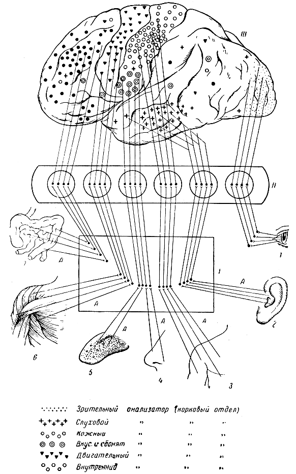 . 288. . ,   . 1-7 -  (, , , , , ,  ): 1 -     ,     (),        ,   ;        (II);          (III).  (III)         ( ,          ):          ( . . ,  )