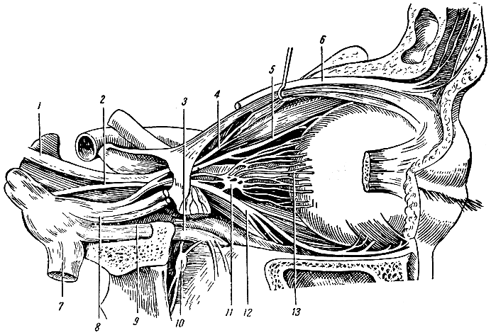 . 311.  . 1 -  ; 2 -  ; 3 -   V  ( ); 4 -   ; 5 -    V ; 6 -   (   V ); 7 -   (  V ); 8 -  (    V ); 9 -   (  V ); 10 -  ; 11 -  ; 12 -    ; 13 -   