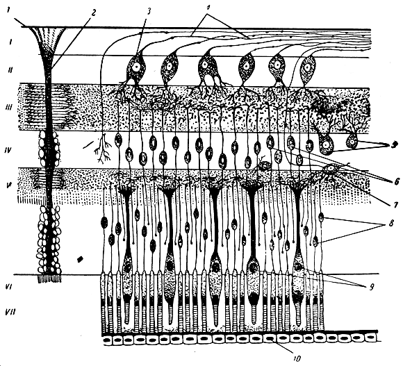 . 336.      . 1 -   ; 2 -  ; 3 -   ; 4 -   ; 5 - ; 6 -  ; 7 -  ; 8 -  ; 9 -  ; 10 -  . I -  ; II -  ; III -   ; IV -   ; V -   ; VI -   ; VII -    ; VIII -  