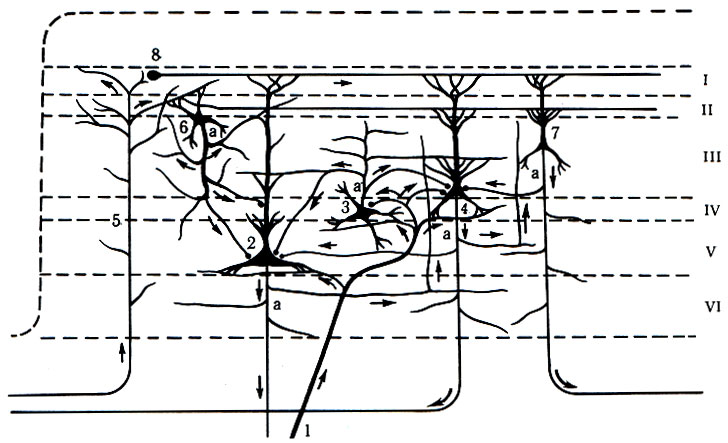 479.         . 1,2,3 -    ; 1,3,4 -  -  ; 5, 6, 7 -    ; 8 -   