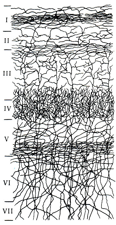 481.         .   (   Vi)   (   IV)  ,         .        III,      -,      (I)  ( . . )