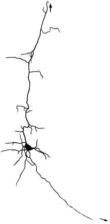 483.    VI    .           ,   ( . . )