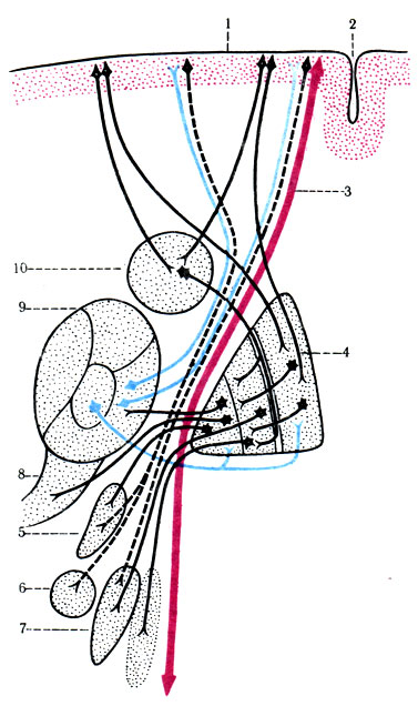 506.       , ,      . 1 -  ; 2 -  ; 3 -   ; 4 -  ; 5 -  ; 6 -  ; 7 -  ; 8 -  ; 9 -  ; 10 -  